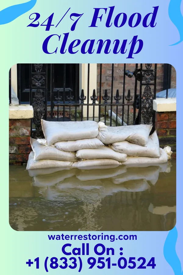 24/7 Flood Cleanup in Winnfield, LA