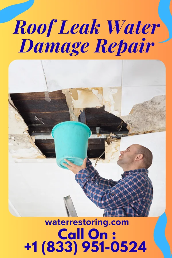 Roof Leak Water Damage Repair in Winnfield, LA