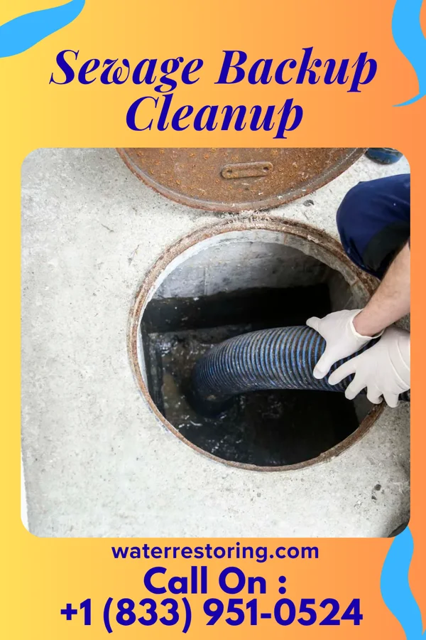 Sewage Backup Cleanup in Winnfield, LA