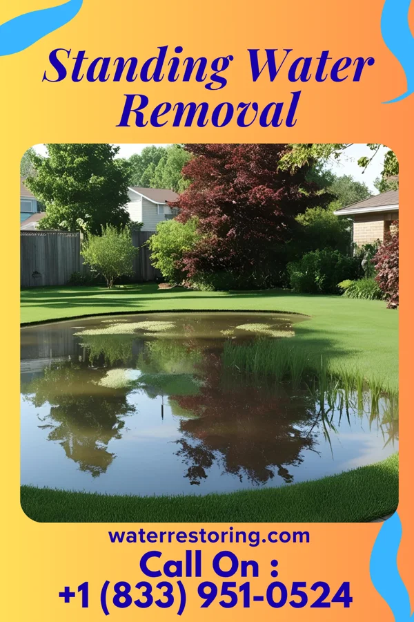 Standing Water Removal in Winnfield, LA